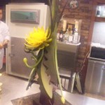 DVC00827 130521_144346