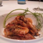 DVC00070 130628_201606