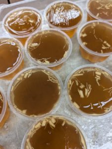 オタネニンジンゼリー