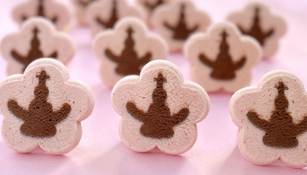 新着情報詳細 | お菓子の蔵 太郎庵